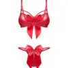 Completino rosso trasparente – Obsessive Gifty Red – foto prodotto, retro