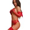 Set rosso reggicalze e guanti – Obsessive Gifty Red